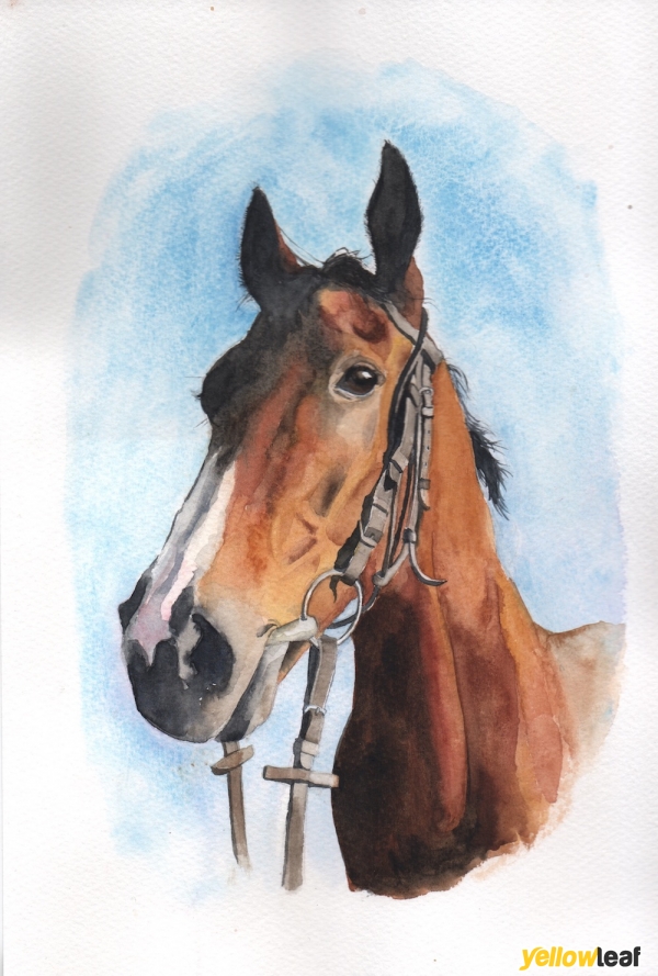 Pet Portraits