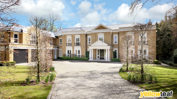 Grosvenor Billinghurst Cobham Estate Agents