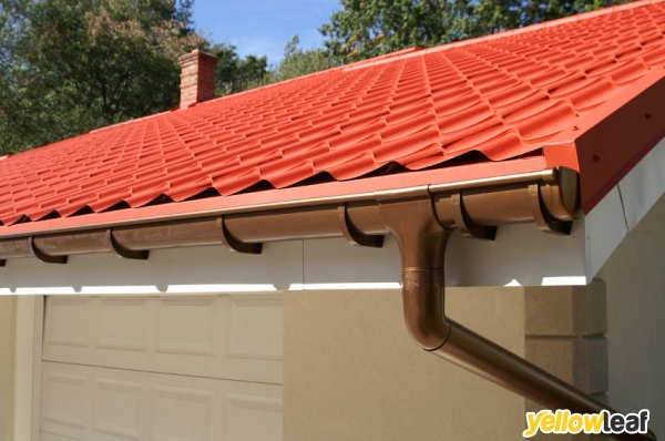 Survey Roofing