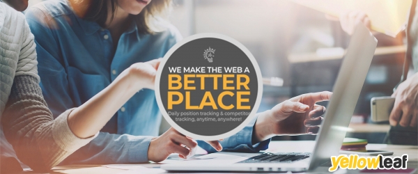 Web Design & Development Services – Web-Logics