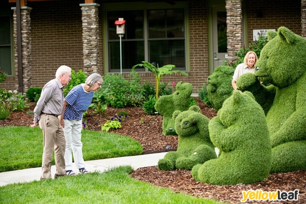 Easigrass Distribution Ltd