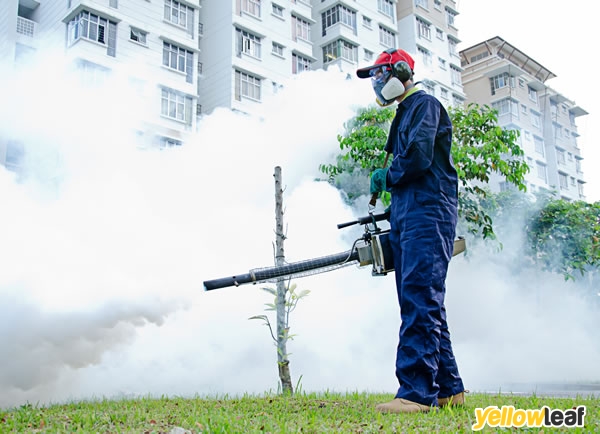 Pest Exterminators