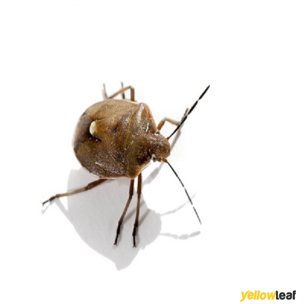 Pests Control Edinburgh