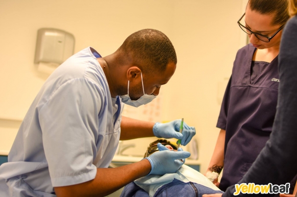 Chrysanth Dental Care