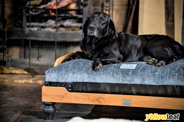 Berkeley Dog Beds Limited