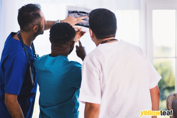 Study Medicine in Europe