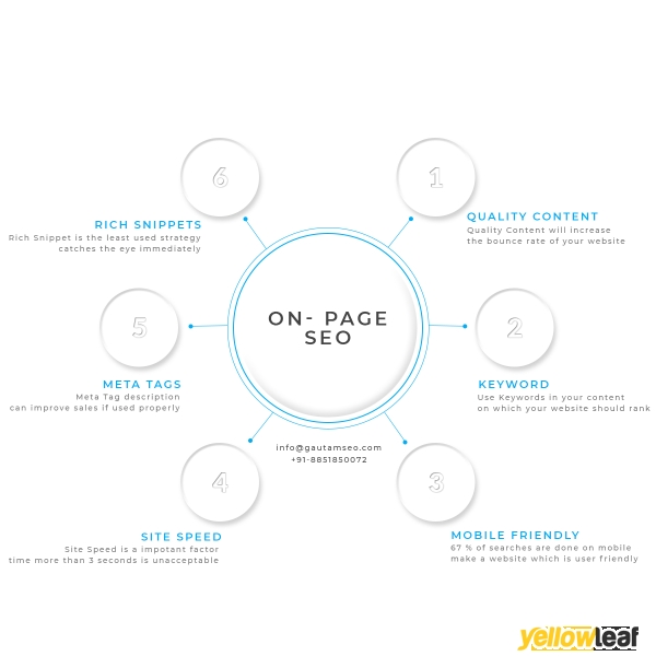 SEO Expert India