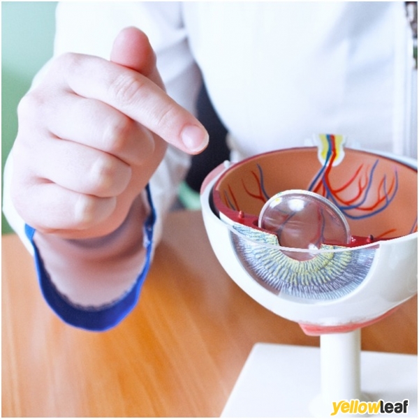 Cataract Eye Surgeon