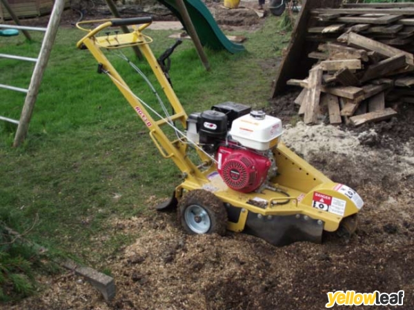Stump Removal Services
