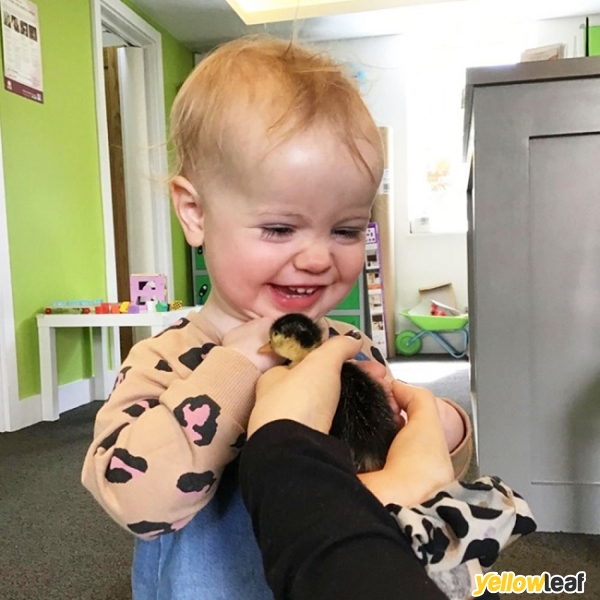 Blossom Lodge Day Nursery
