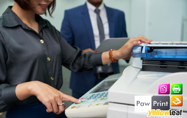 Photocopier Sales | Paw Print