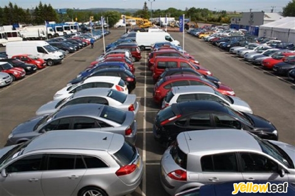 Wilsons Auctions