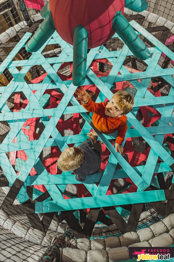 Freedog Bristol Soft Play and Trampolines