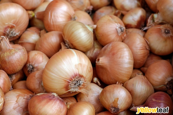 Peeled Onion
