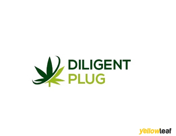 Digital plug