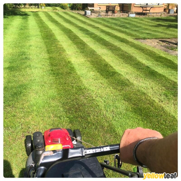 Premium Landscaping