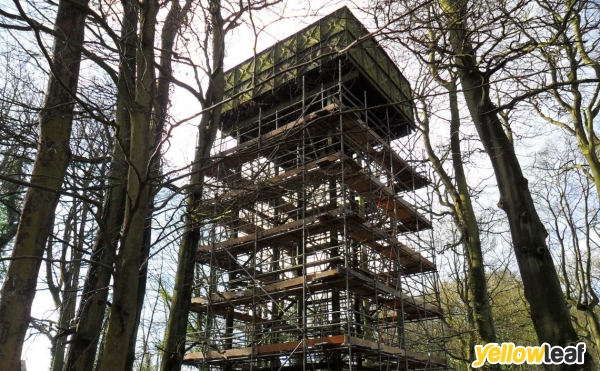 1st Scaffolding