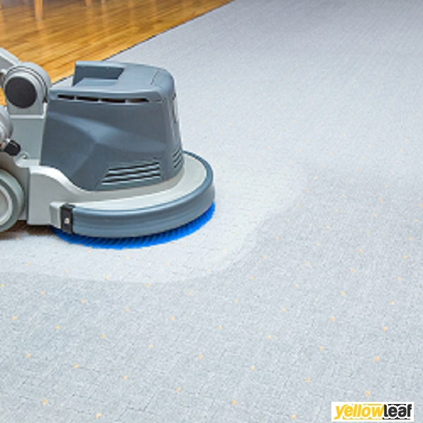 Pro Carpet Cleaning