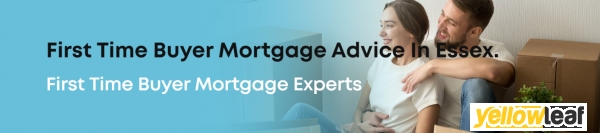 Bolt Mortgages