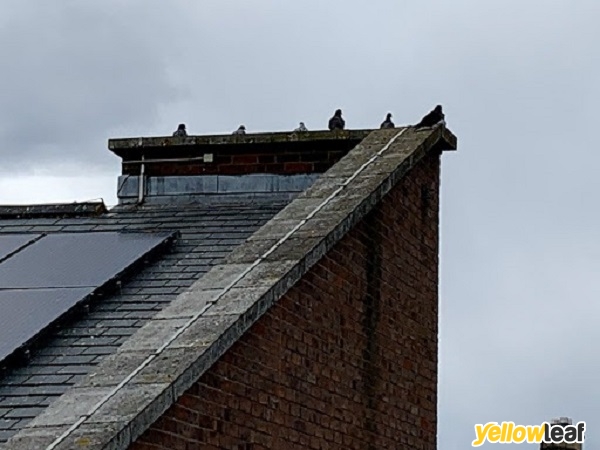 Pest-Tech Ltd