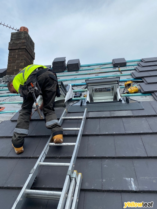 Roofing & Building Solutions
