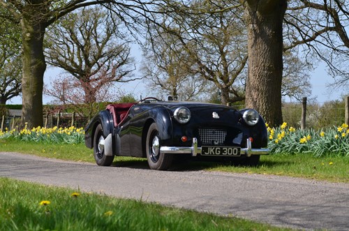 Maidstone Sports Cars Ltd