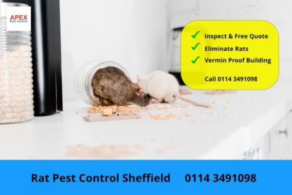Apex Pest Control