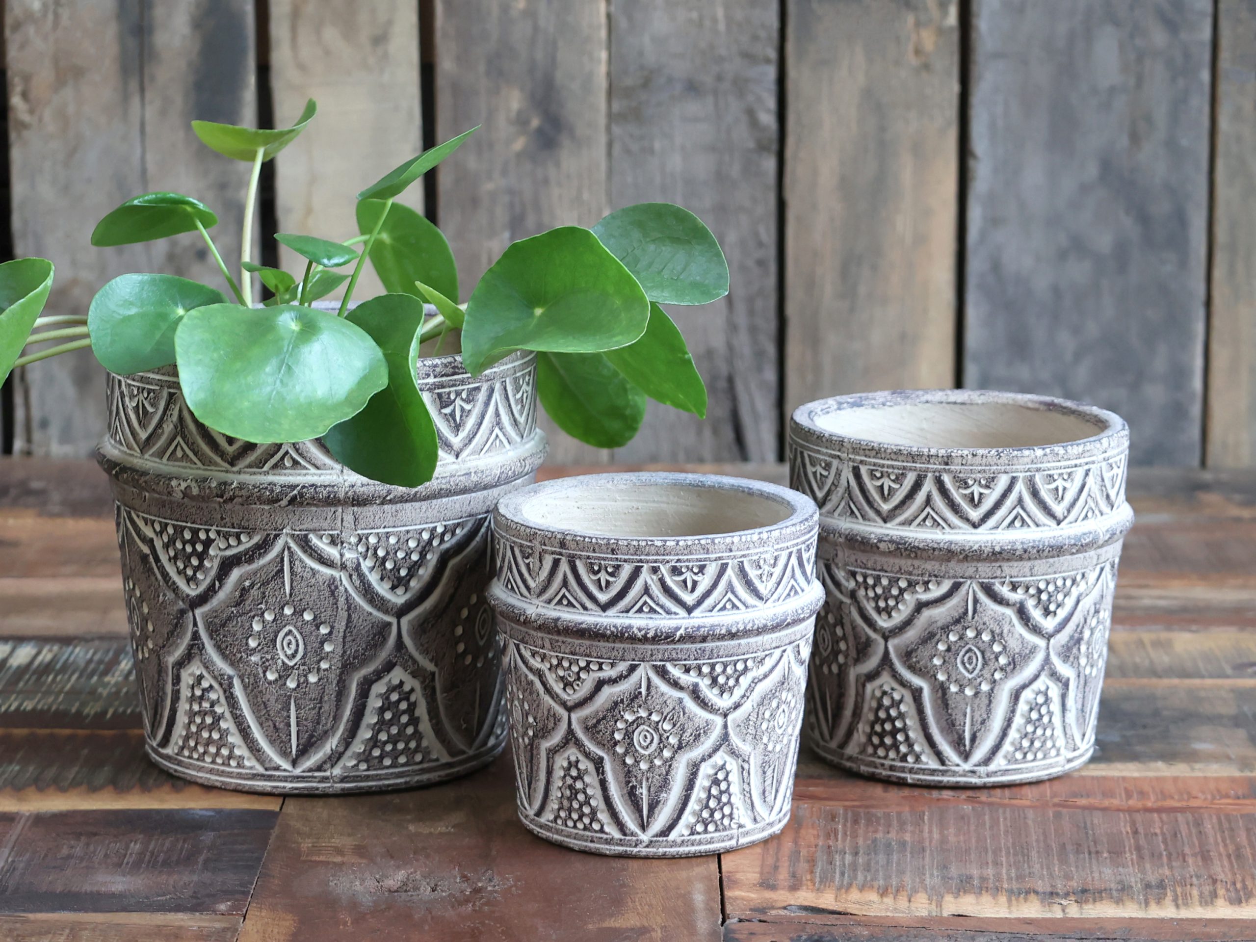 Love Planter