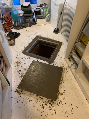 Proline Drainage Limited