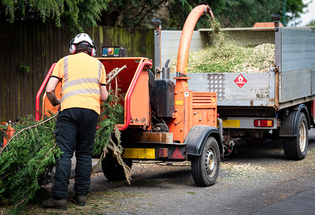 We Buy Any Plant & Machinery