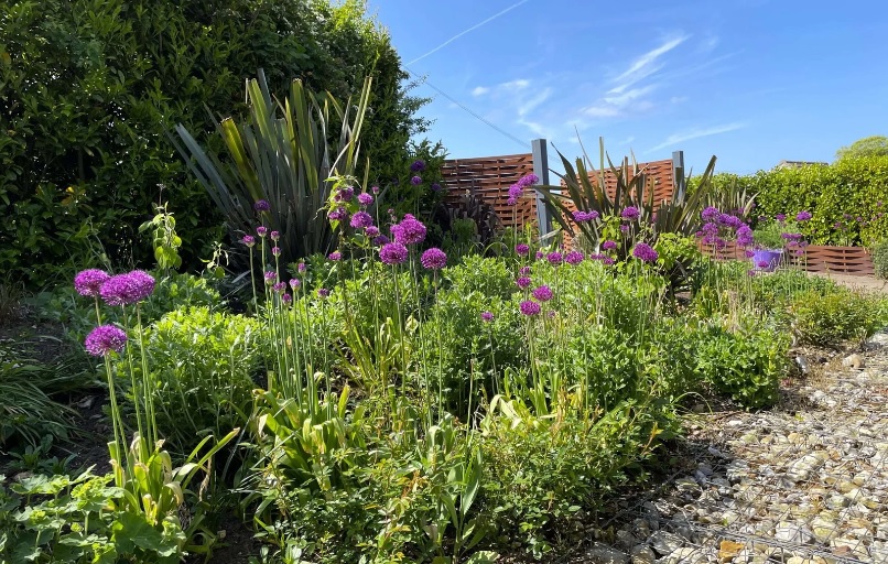 Pennington Gardens