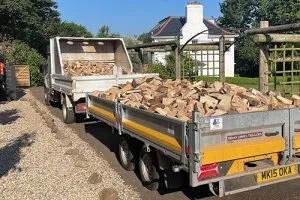 TD Tree & Land Services Ltd