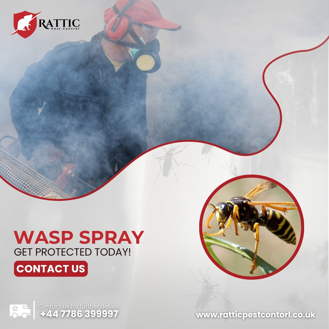 Rattic Pest Control