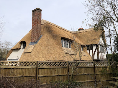 Elite Master Thatching