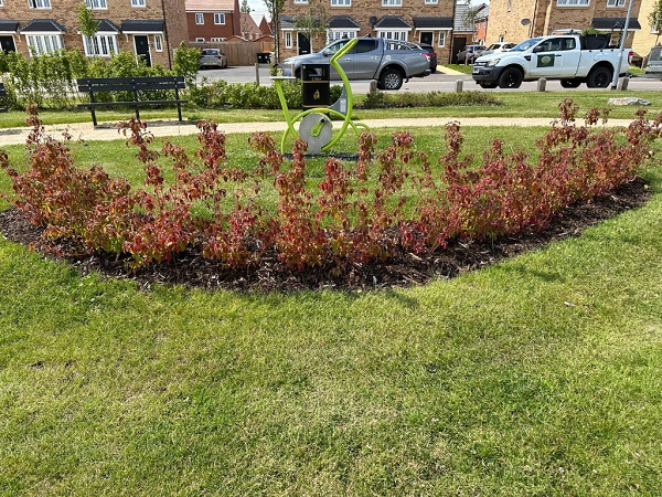 Mister Mow | Gardener | Garden Clearances | Grounds Maintenance
