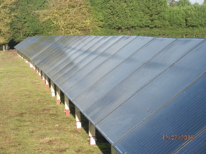 Effective Eco Ltd