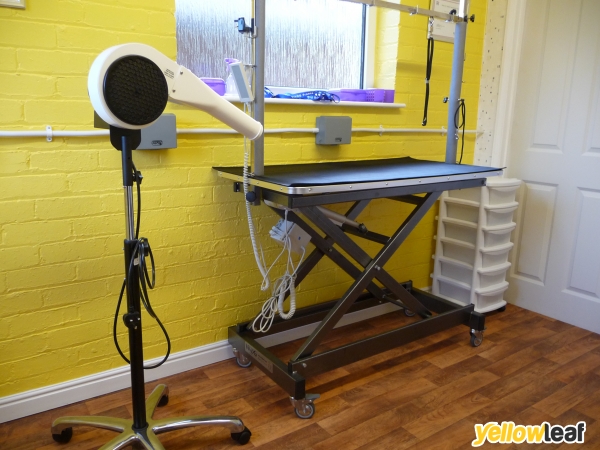 Tails A Wagging Professional Dog Grooming