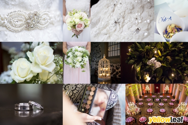 Minna Rossi Photography