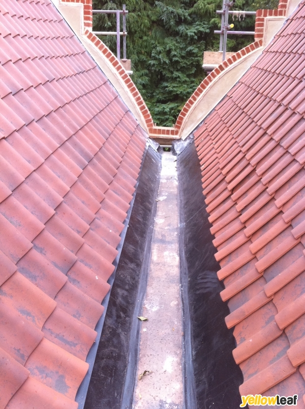 D&G Asphalt Roofing
