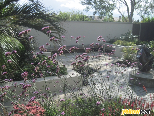 Tim Mackley Garden Design