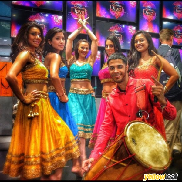 The Bollywood Co