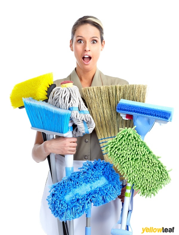 Putney Carpet Cleaners Ltd