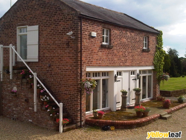 Court Farm Bed & Breakfast And Holiday Cottages