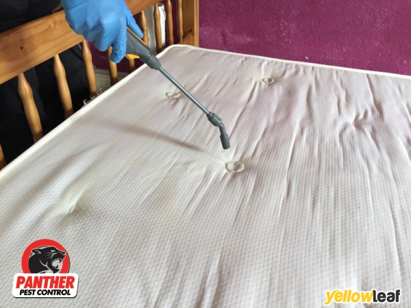 Panther Pest Control London