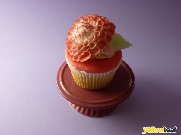 Mini Cake Studio