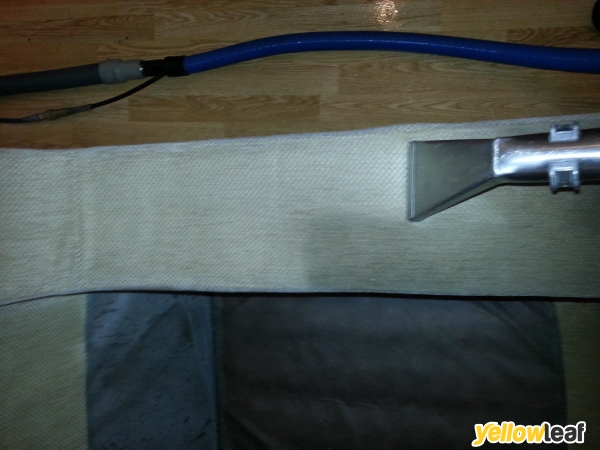 Forest Lea Carpet & Upholstery Cleaning