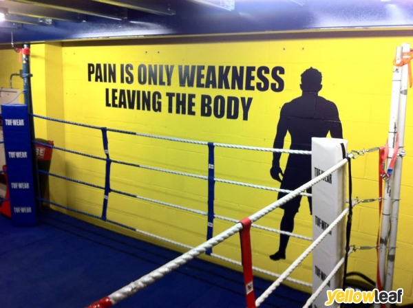 Dynamo Boxing Training