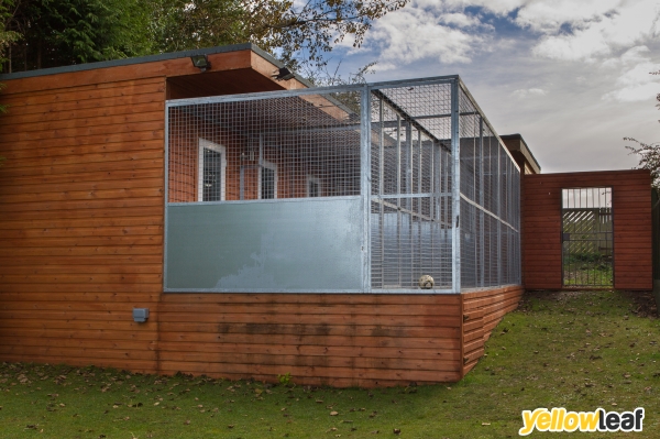 Acaster Dog Boarding - Luxury Boarding Kennels