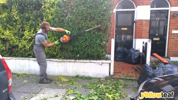 Gardening Services Hartfield
