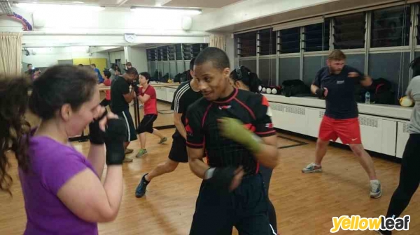Moreno Boxing